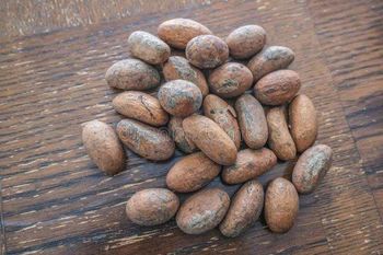 Bitter Kola - Universal Sun of Faro SARL - Cameroon